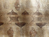 Boa-Constrictor-02.jpg