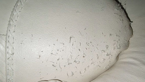 Cat-scratches-split-leather-01.jpg