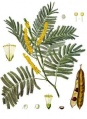 Thumbnail for version as of 13:21, 26 April 2007