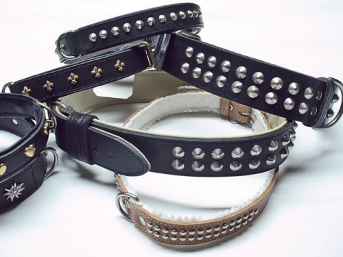 Hundehalsband-2.jpg
