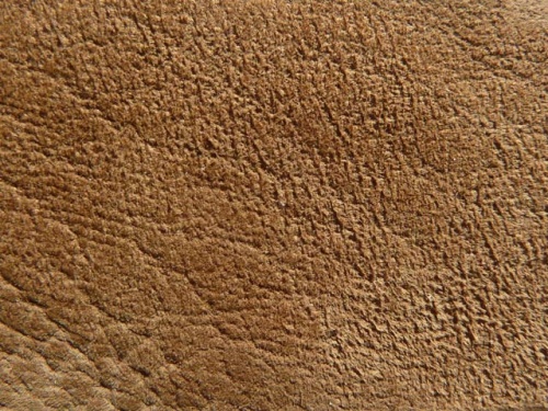 Lamm-Nubuk-02.jpg