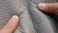Thumbnail for version as of 17:35, 20 September 2022