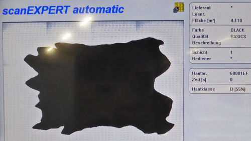 Leather-surface-size-scan-01.jpg