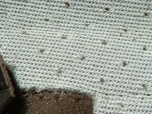 Perforation-Kaschierung-002.jpg