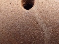 Thumbnail for version as of 21:53, 7 December 2010