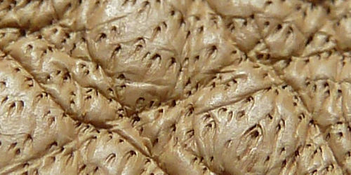 Refined aniline leather-01-Anilin.jpg