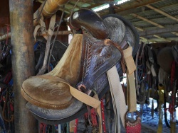 Sattel-Brasilien-Pantanal-02.jpg