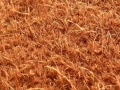 Thumbnail for version as of 14:13, 14 April 2012